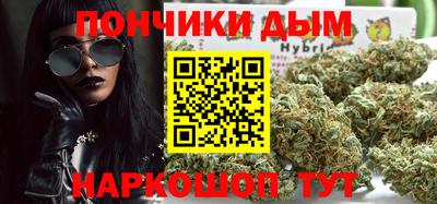 гидра Новодвинск
