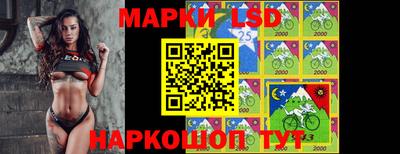 мдпв Новозыбков