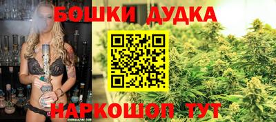 мдпв Новокубанск