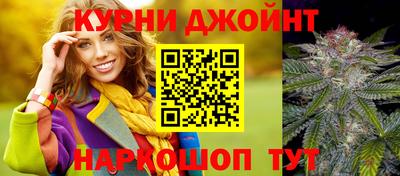 гидра Новодвинск