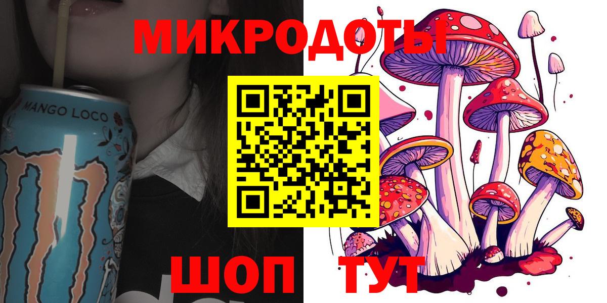 Северобайкальск  Галлюциногенные грибы Cubensis  Вход с VPN 